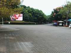 -上海海湾国家森林公园