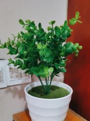 -玛尼瑜伽·普拉提