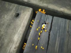 -白塘生态植物园