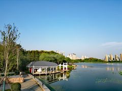 -月湖风景区