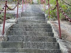 -鲁山国家森林公园