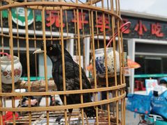 -宛平李记小吃(东关街店)