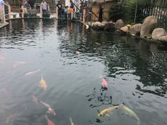 -湖鲜楼