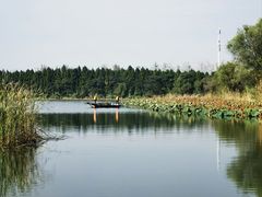 -溱湖国家湿地公园