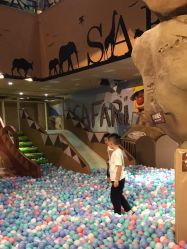 -卡通尼·Safari非洲探索乐园·生日会(金桥国际商业广场店)