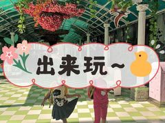 -百万葵园