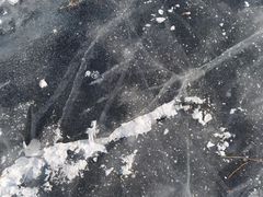 -丁香湖公园
