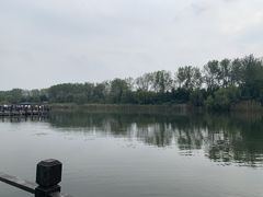 -溱湖国家湿地公园