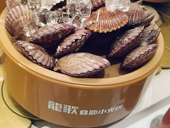 -龍歌自助小火锅(漳州二路爱购店)