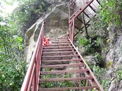 -王顺山国家森林公园