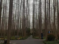 -上海怡沁园度假酒店