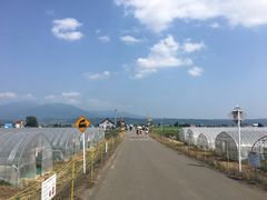 -富田农场