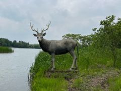 -溱湖国家湿地公园