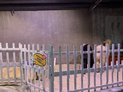 -正佳雨林生态植物园