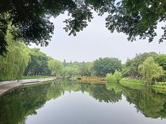 -泰州凤城河风景区-泰山公园