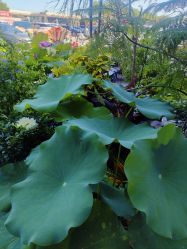 -今日陶艺(富力广场店)