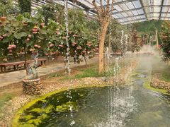 -呀路古热带植物园