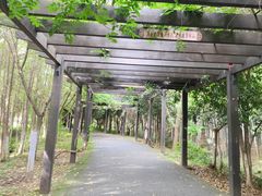 -九龙潭景区