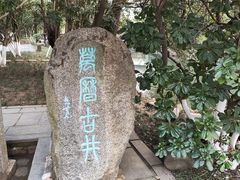 -八大山人梅湖景区