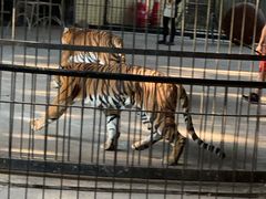 -广东茂名森林公园