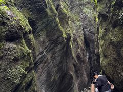 -牛背梁国家森林公园