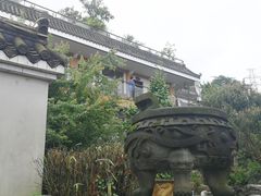 -老幺泉水鸡