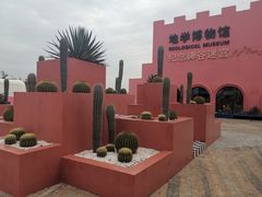 -漳州滨海火山岛自然生态风景区