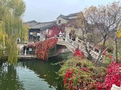 -萝卜丝饼