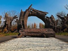-广富林郊野公园