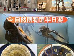 -国家自然博物馆