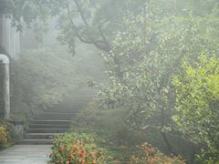 -梧桐山风景名胜区