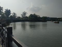 -上海长兴岛郊野公园