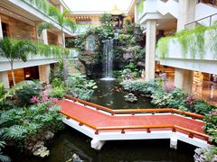 -白天鹅宾馆-宏图府餐厅