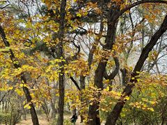 -长春市南湖公园