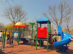 -大兴滨河森林公园