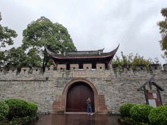 -桂湖森林公园