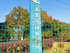 -九里河湿地公园