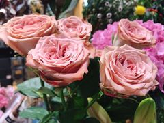 -谷莠子花艺·气球派对·绿植造景·花艺沙龙(金光华广场店)