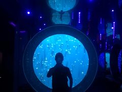 -成都浩海立方海洋公园