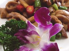 牵肠挂肚-添福来墨鱼饺子 · 海鲜东北菜(大连星海·黄浦路店)