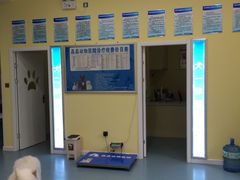 -瑞鹏宠物医院·爱宠堂·骨外专科(西荷分院)