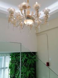 -苗医生草本科技祛痘