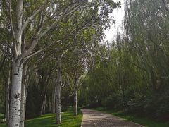 -北坞公园