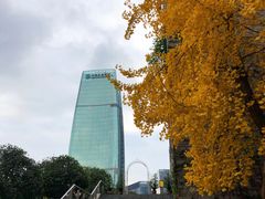 -重庆市江北嘴中央商务区中央公园