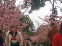 -南山植物园