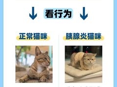 -哆趣宠物医院·眼科·内镜·急重症转诊中心(上海店)
