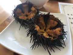 -海胆小馆(东北水饺·春柳店)