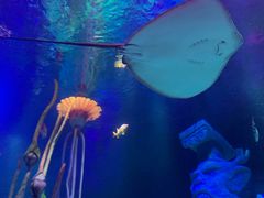 -沈阳海洋探索中心