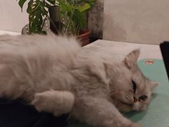 -小时光咖啡馆(北锣鼓巷店)
