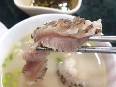 -齐海鱼圣深海石斑鱼火锅店(极地海洋世界店)